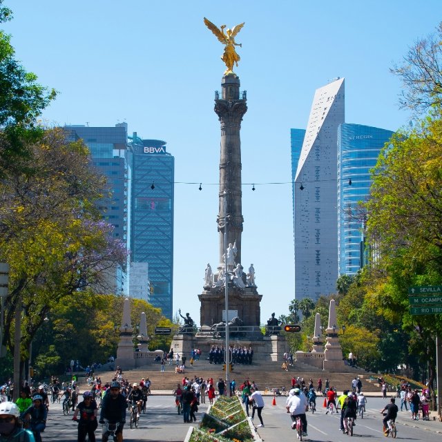 MEX-3