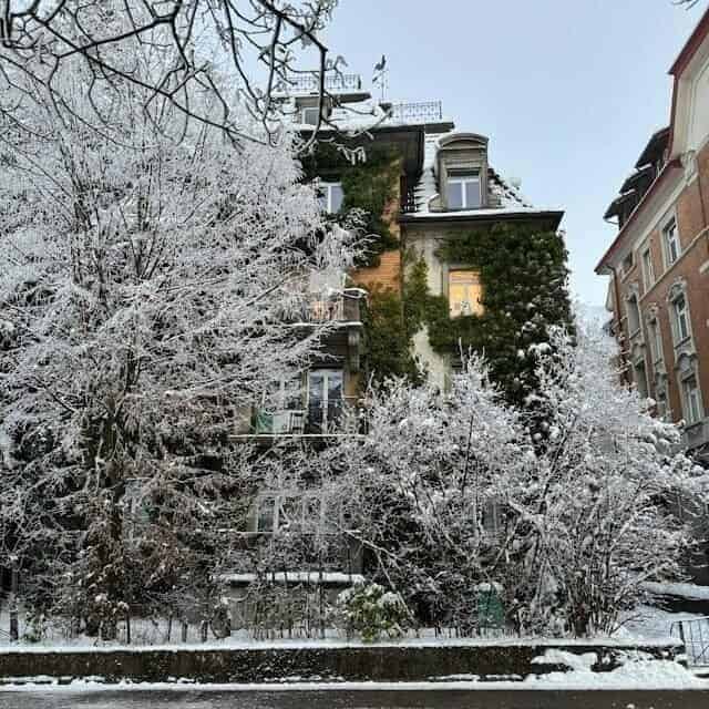 Suiza-1